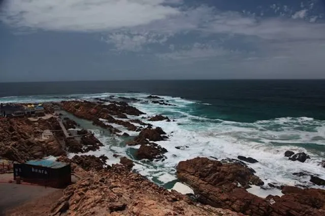 The Shark Lab - Mini Aquarium