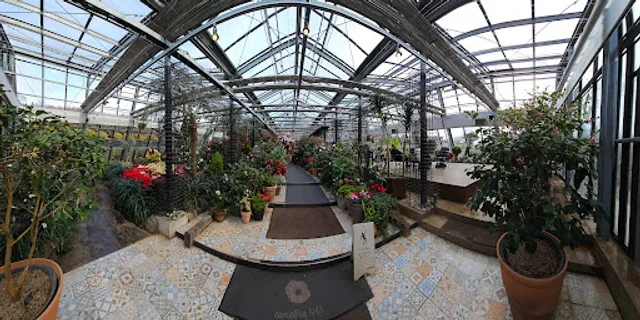 Camellia Hill Flower Cafe