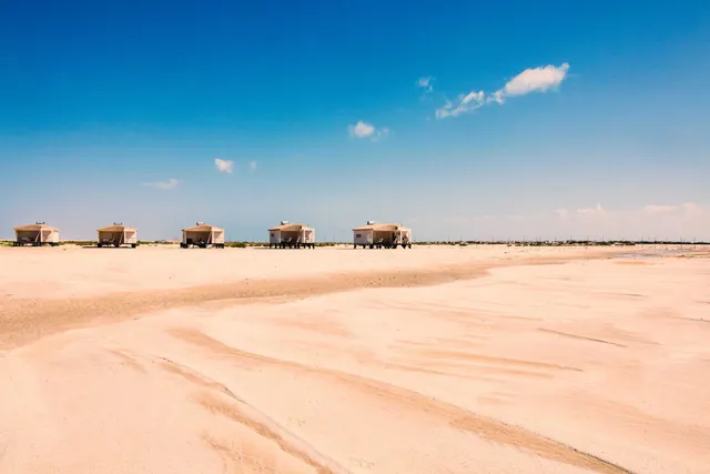 Ocean Vagabond Lassarga