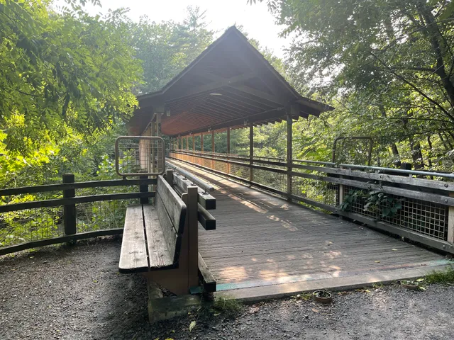 Paul Kanjorski Covered Bridge