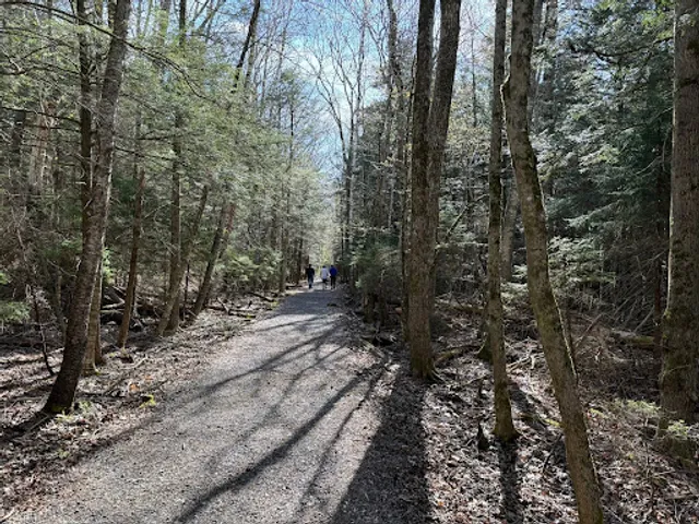 Kaaterskill Rail Trail