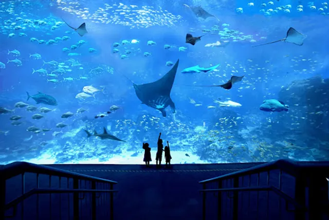 S.E.A. Aquarium