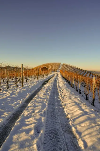 Aussichtsplattform Luitenbächer Höhe