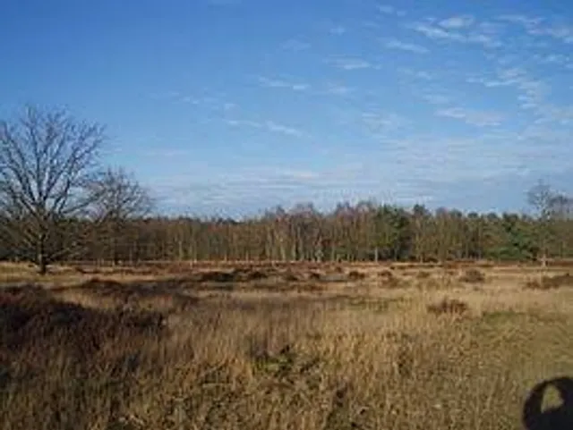Kesselse Heide