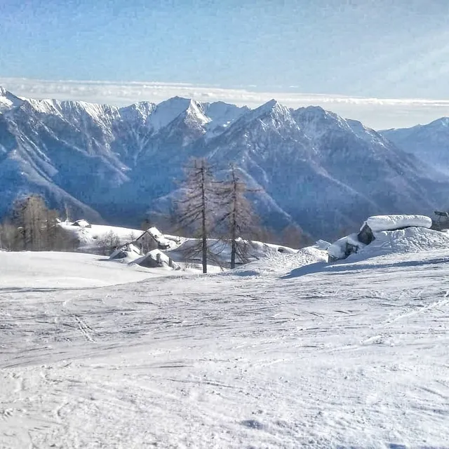 Sciovie Lusentino Moncucco Domobianca Uffici