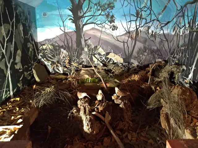 MUBEC - Museo della Beccaccia