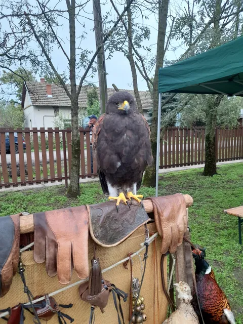 Körös-Maros Nemzeti Park Igazgatóság - Kardoskúti Múzeum