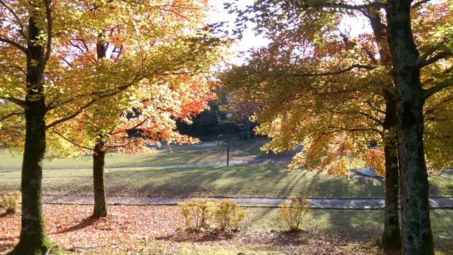 Shikanodai Central Park