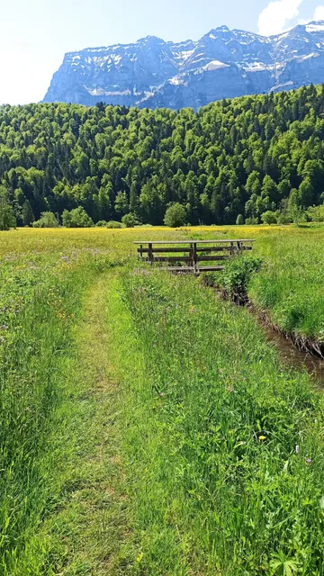 Barfußweg - Bizauer Moos