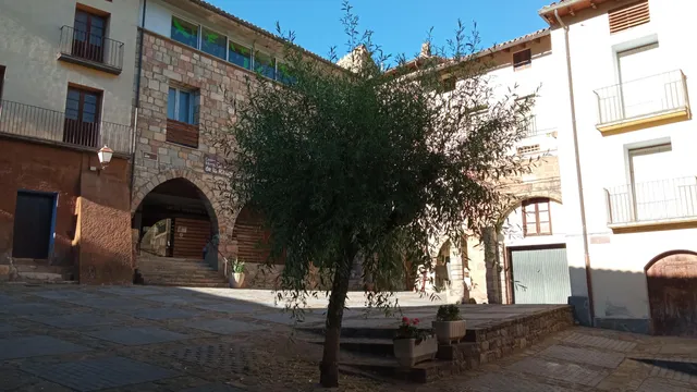 photo-1