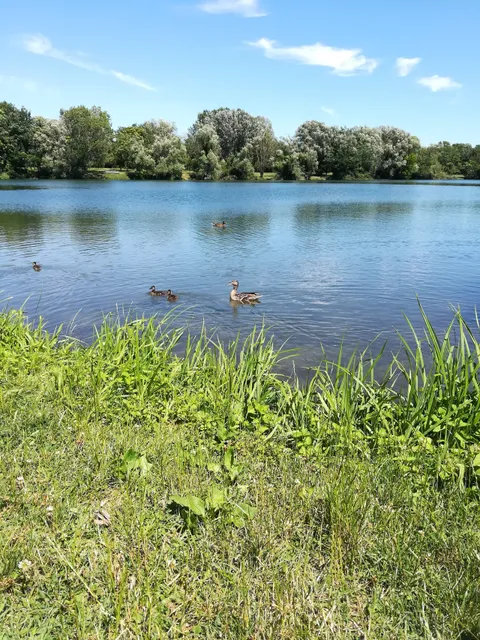 place image