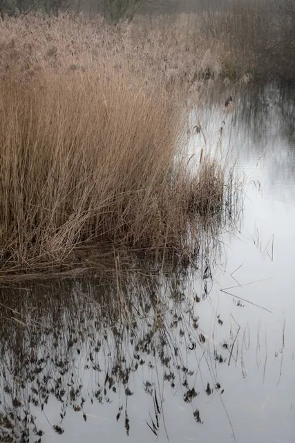 Warandeputten, Moerbrugge