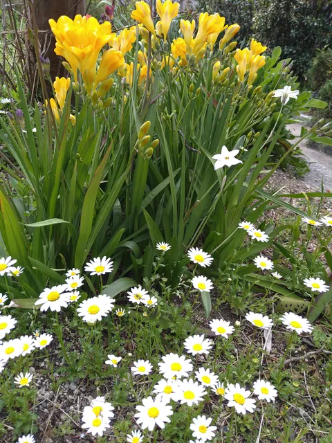 Miyakojima Chūō Park