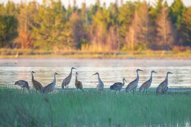 Cheboygan State Park