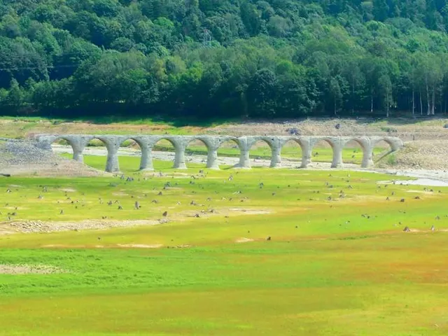 Taushubetsu River Bridge