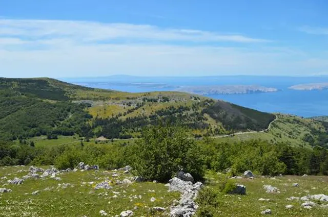 photo-1
