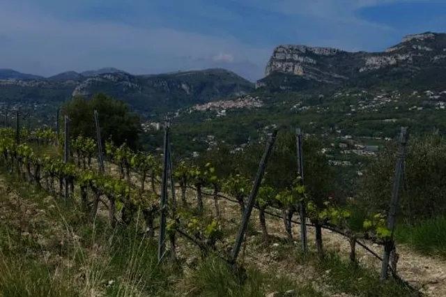 baou de Saint-Jeannet