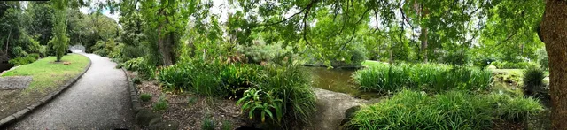 Hedgeley Dene Gardens