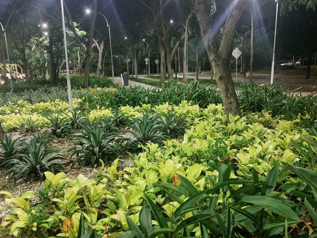 Realismo Mágico Park