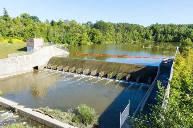 Milne Dam Conservation Park