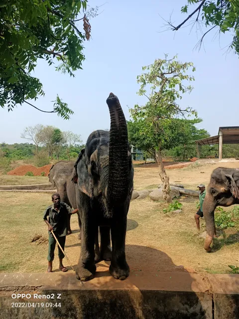 Nandan Kanan Zoo Safari