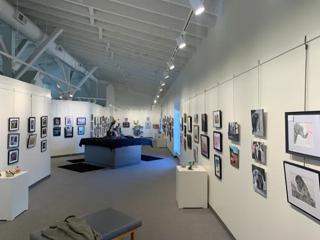 Bismarck Art & Galleries Association