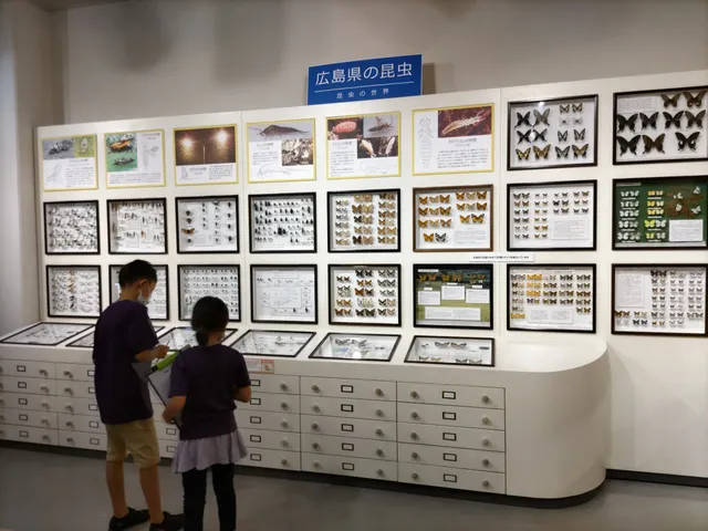 Museu de História Natural de Hiwa