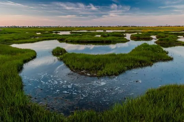 Wells National Estuarine Research Reserve