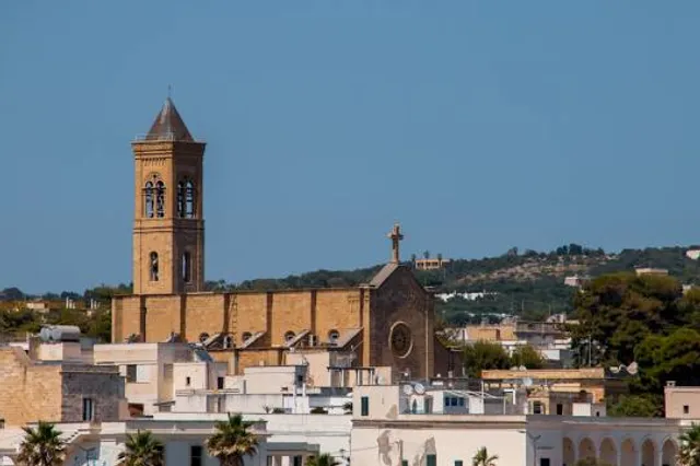 Church of Christ the King