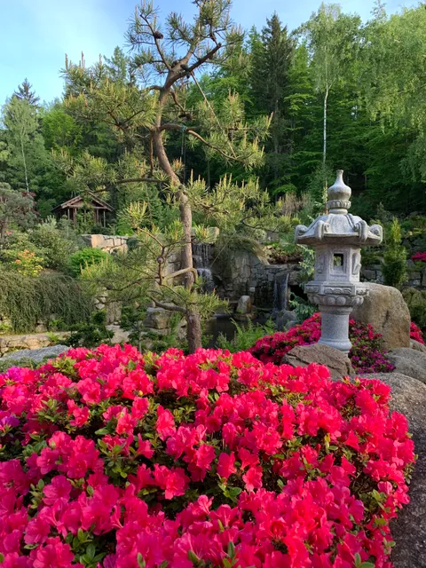 Siruwia Japanese Garden