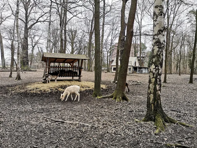 Tiergehege im Schlosspark Lauchhammer-West