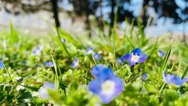 Museum of Contemporary Art of AP Vojvodina