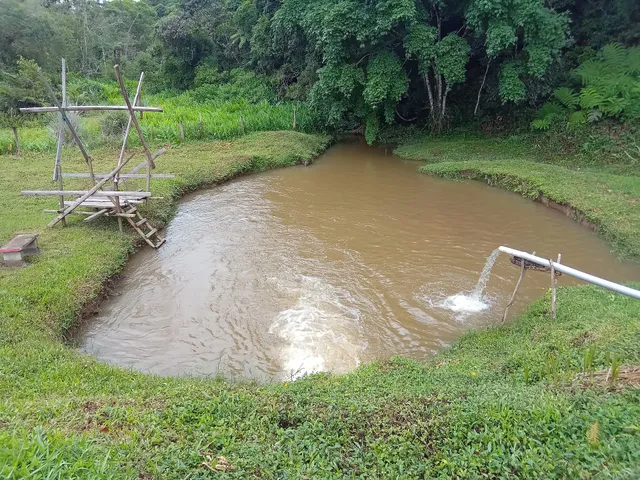 Pesqueiro Vale do Peixe