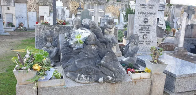 photo-3