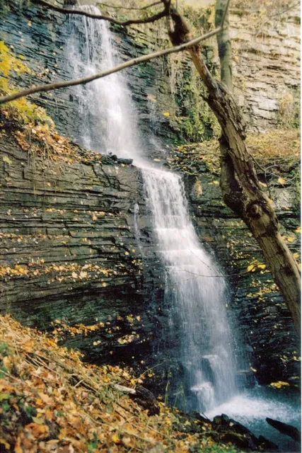 Cliffview Falls