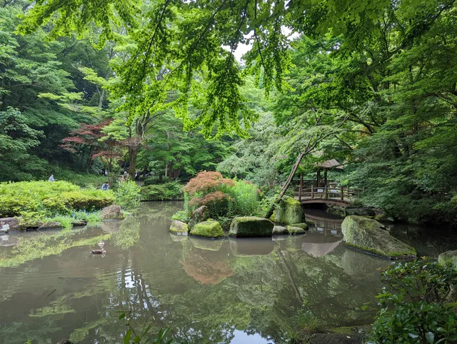 Higashi-Takane forest park