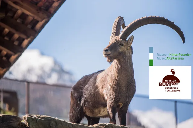 MuseumHinterPasseier - Bunker Mooseum