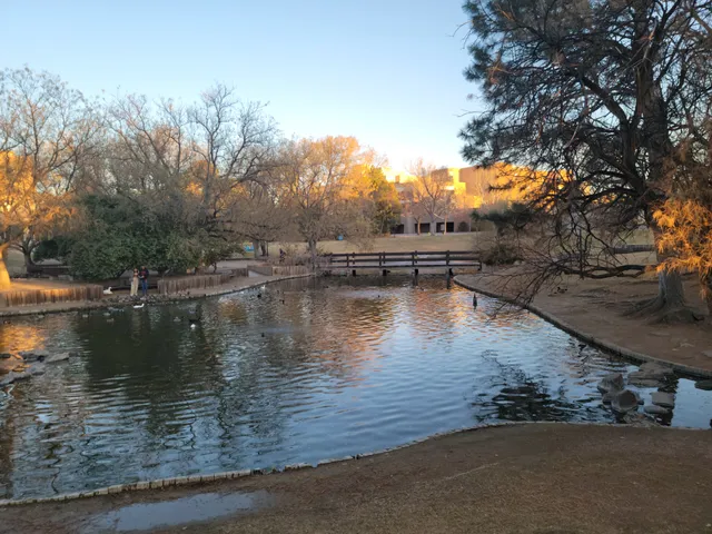 UNM Duck Pond