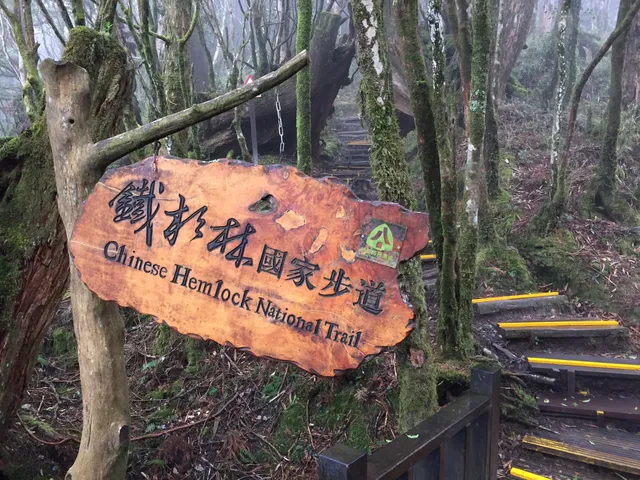 Chinese Hemlock Nature Trail