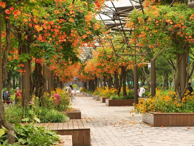 Bucheon Central Park
