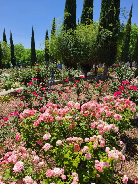 El Paso Municipal Rose Garden