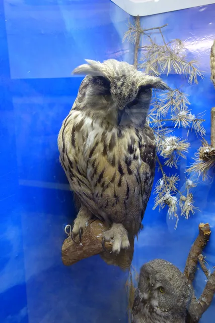 Dzerzhinsky Local Lore Museum