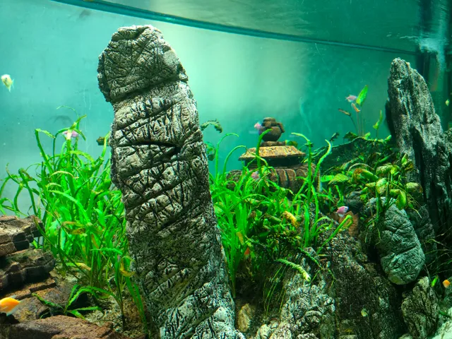 Aquarium maritime museum