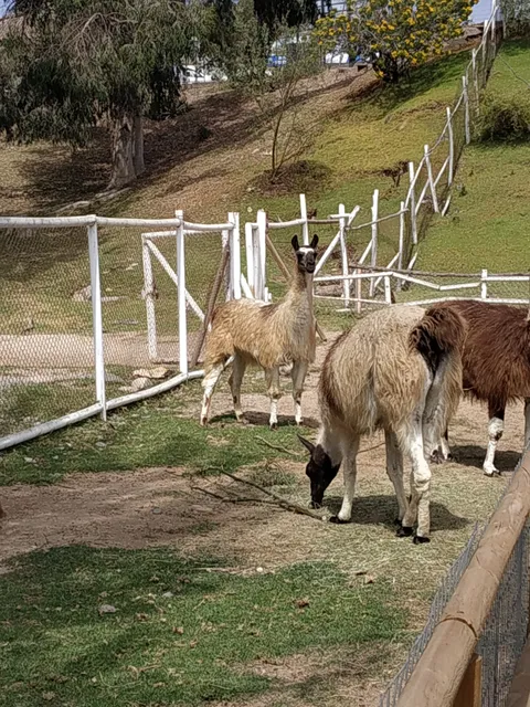 Parque Pedro de Valdivia