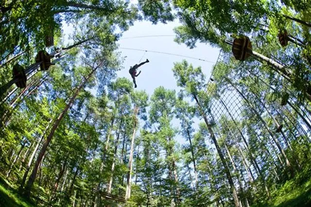 Forest Adventure Hiroshima