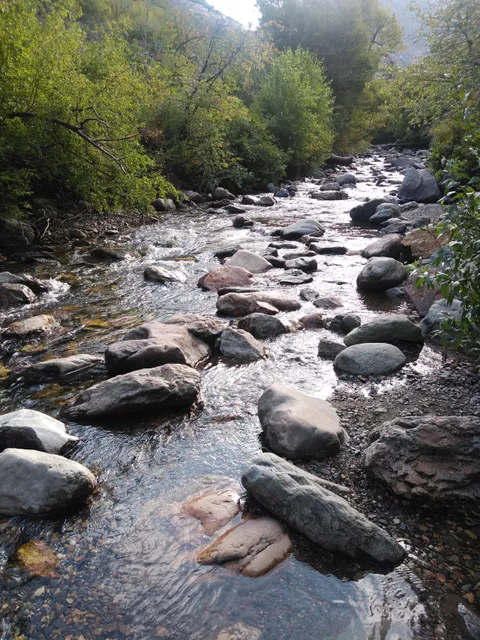 Ledgemere Picnic Area