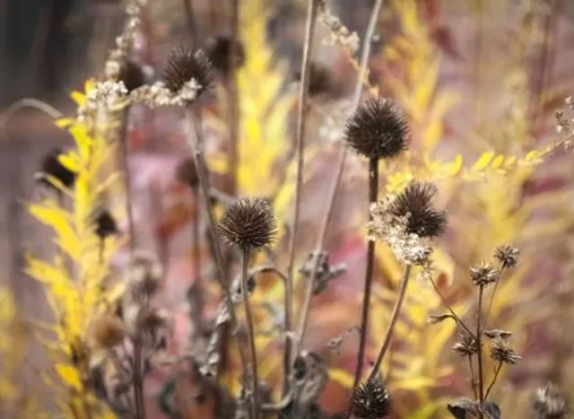 Natural Lands' Gwynedd Preserve