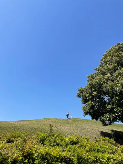 Tsurumaki Higashi Park