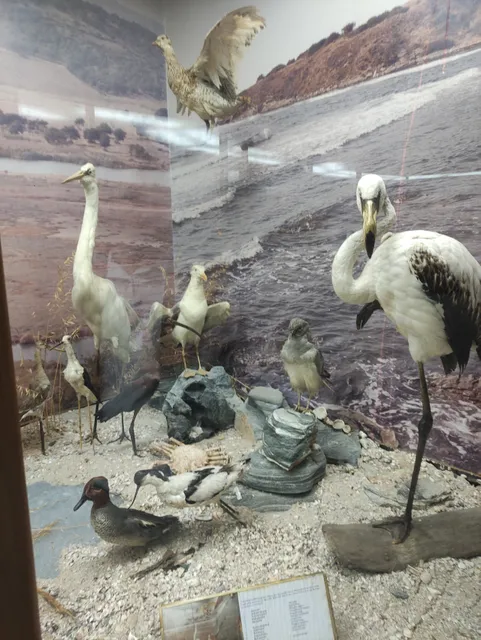 Natural History Museum