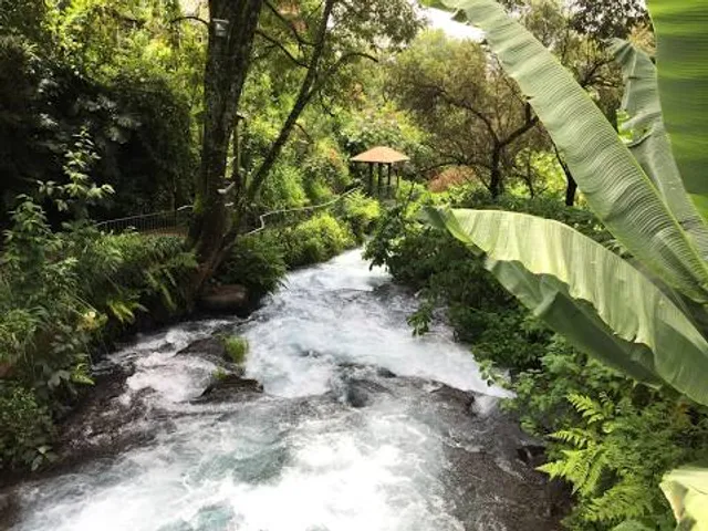 Parque Lineal Cupatitzio